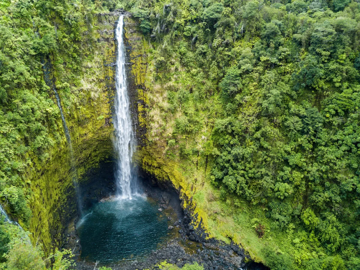 ʻAkaka Falls dropping 442 feet into an emerald pool, the tallest of the waterfalls to see in Hilo Hawaii
