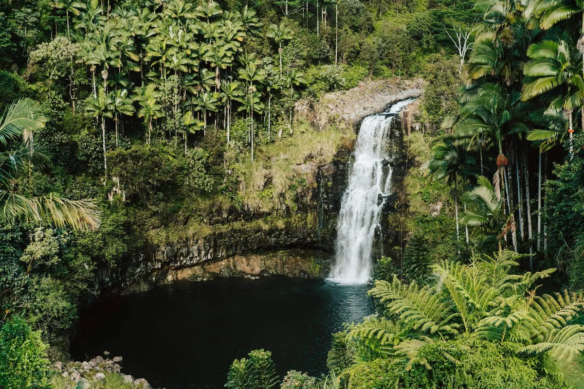 Kulaniapia Falls dropping 120 feet into a dark pool, a swimmable waterfall to see near Hilo Hawaii