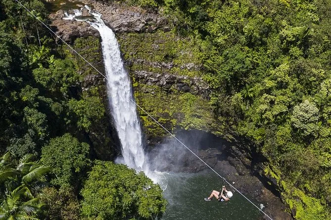 Zipline Near Akaka Falls: Big Island Adventure Guide